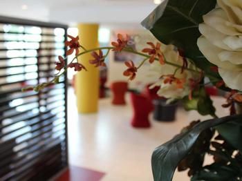 Ibis Newcastle - Tourism Brisbane 24