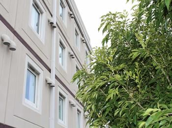 Ibis Newcastle - Tourism Brisbane 30
