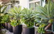Pullman Magenta Shores Resort - thumb 39