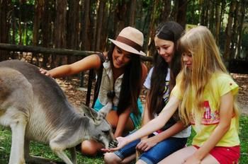 Pacific Horizons Resort - Brisbane 4u 23