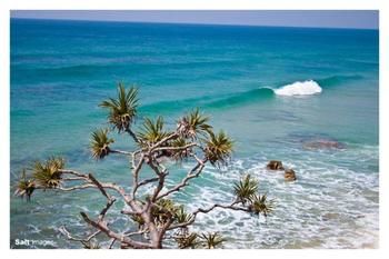 Pacific Horizons Resort - Brisbane 4u 24