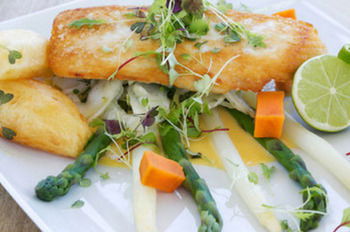 Caves Beachside Hotel - Brisbane Tourism 14