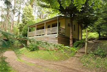 Hill 'N' Dale Farm Cottages - Brisbane 4u 3