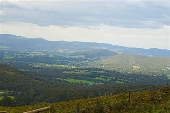 Hill 'N' Dale Farm Cottages - Brisbane 4u 14