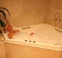 Lavender House BampB - Brisbane Tourism
