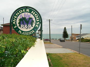 Lavender House B&B - Tourism Brisbane 18