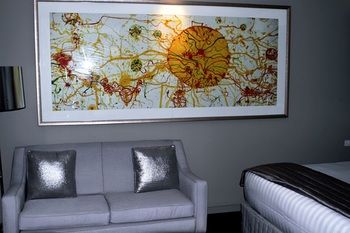 Art Series - The Olsen - Tourism Brisbane 44