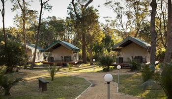 Ocean Beach Resort & Holiday Park - Brisbane Tourism 40