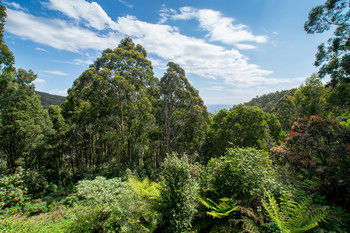 A Camelot Tower & Penthouse - Tourism Brisbane 46