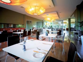 Ibis Melbourne Glen Waverley - Tourism Brisbane 18