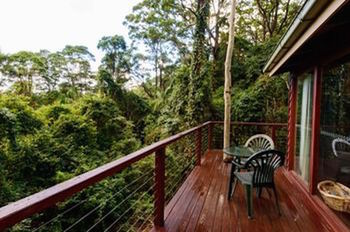 Kondalilla Eco Resort - Tourism Brisbane 0