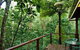Kondalilla Eco Resort - thumb 2