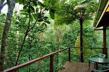 Kondalilla Eco Resort - Tourism Brisbane 2