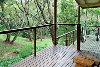 Kondalilla Eco Resort - Tourism Brisbane 4