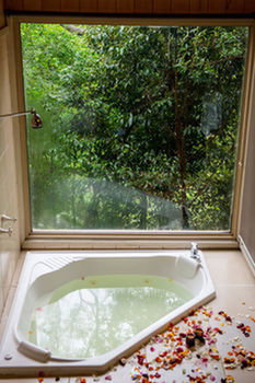 Kondalilla Eco Resort - Tourism Brisbane 17