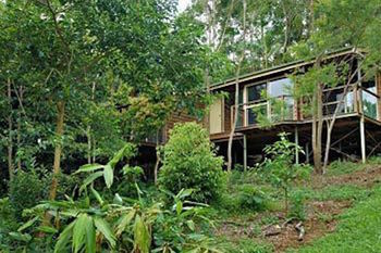 Kondalilla Eco Resort - Tourism Brisbane 22