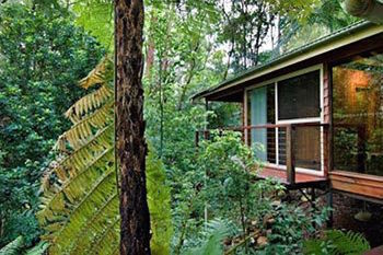 Kondalilla Eco Resort - Tourism Brisbane 23