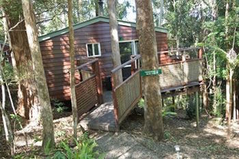 Kondalilla Eco Resort - Tourism Brisbane 27