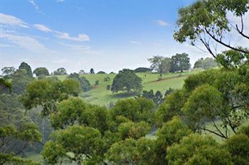 Kondalilla Eco Resort - Tourism Brisbane 28