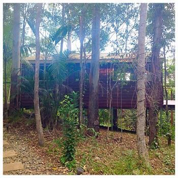 Kondalilla Eco Resort - Tourism Brisbane 32