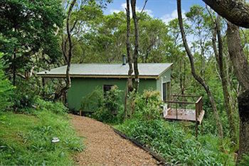 Kondalilla Eco Resort - Tourism Brisbane 34