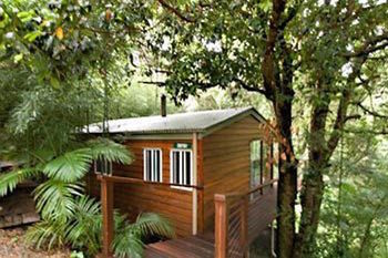 Kondalilla Eco Resort - Tourism Brisbane 35
