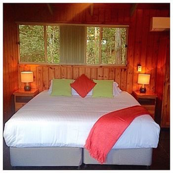 Kondalilla Eco Resort - Tourism Brisbane 42