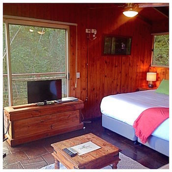 Kondalilla Eco Resort - Tourism Brisbane 50