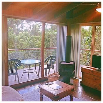 Kondalilla Eco Resort - Tourism Brisbane 89