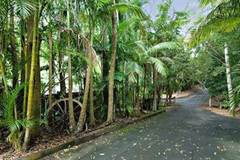 Kondalilla Eco Resort - Tourism Brisbane 94