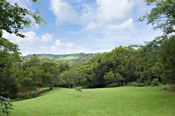 Kondalilla Eco Resort - Tourism Brisbane 97