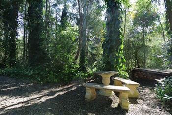 Kondalilla Eco Resort - Tourism Brisbane 98
