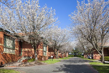 Apartments @ Mt Waverley - Tourism Brisbane 26