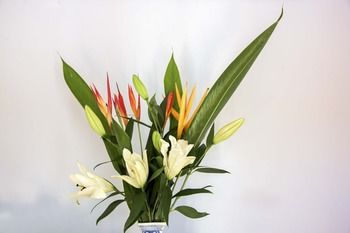 Ninderry Manor Luxury Retreat - Tourism Brisbane 8