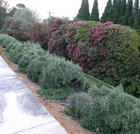 Silvermere - Tourism Brisbane