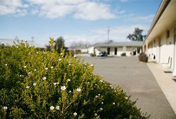 Merivale Motel - Tourism Brisbane 1