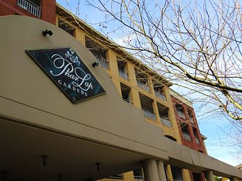 Waldorf Randwick Serviced Apartments - Tourism Brisbane 5