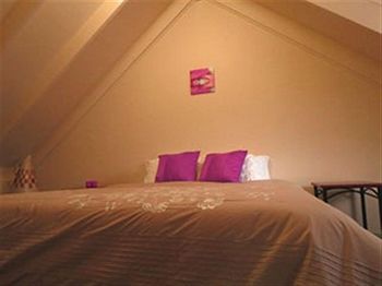 Barrington Wilderness Cedar Lodge Accommodation - Tourism Brisbane 2