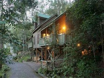 Barrington Wilderness Cedar Lodge Accommodation - Tourism Brisbane 3