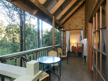 Barrington Wilderness Cedar Lodge Accommodation - Tourism Brisbane 5