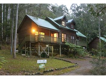 Barrington Wilderness Cedar Lodge Accommodation - Tourism Brisbane 6
