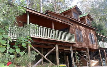 Barrington Wilderness Cedar Lodge Accommodation - Tourism Brisbane 12