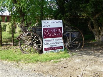 De'Vine Escape - Tourism Brisbane 3