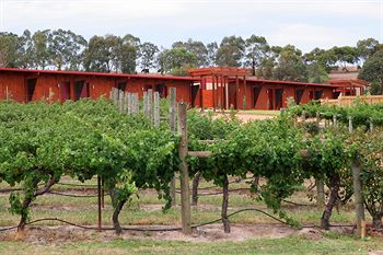De'Vine Escape - Tourism Brisbane 4
