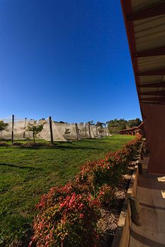De'Vine Escape - Tourism Brisbane 5