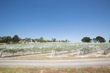 De'Vine Escape - Tourism Brisbane 12