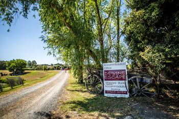 De'Vine Escape - Tourism Brisbane 22