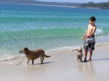 Paradise Bungalow - Brisbane 4u 19