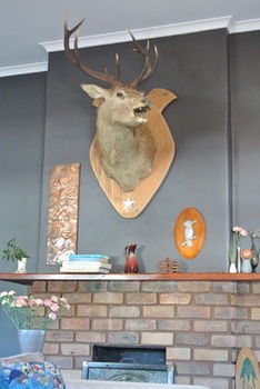 Vine Valley Inn - Brisbane Tourism 49