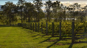 H Boutique Hotel - Brisbane Tourism 34